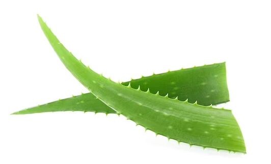 blagovna znamka Gunieent rander vsebuje aloe vero